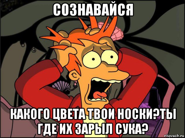 сознавайся какого цвета твои носки?ты где их зарыл сука?, Мем Фрай в панике