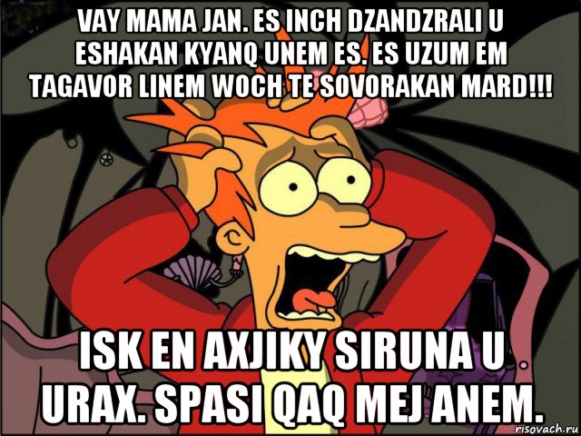 vay mama jan. es inch dzandzrali u eshakan kyanq unem es. es uzum em tagavor linem woch te sovorakan mard!!! isk en axjiky siruna u urax. spasi qaq mej anem., Мем Фрай в панике