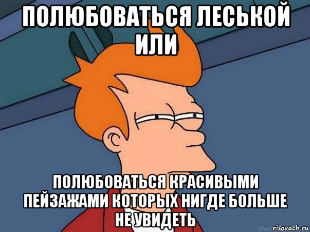 полюбоваться леськой или полюбоваться красивыми пейзажами которых нигде больше не увидеть, Мем  Фрай (мне кажется или)