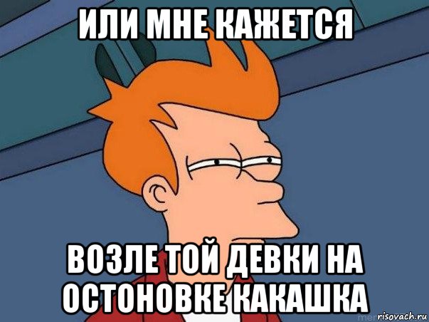 или мне кажется возле той девки на остоновке какашка, Мем  Фрай (мне кажется или)