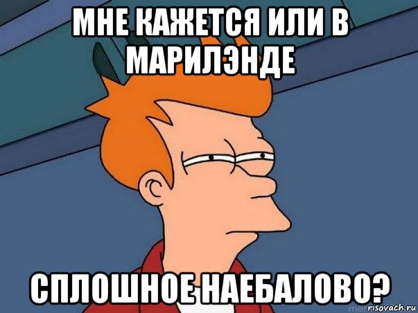 мне кажется или в марилэнде сплошное наебалово?, Мем  Фрай (мне кажется или)