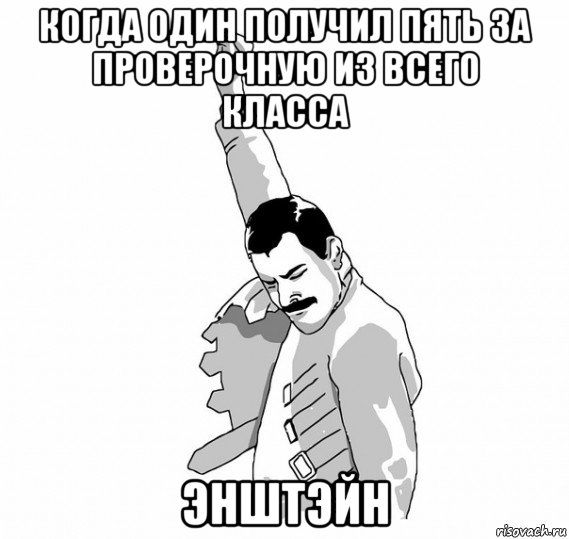 когда один получил пять за проверочную из всего класса энштэйн