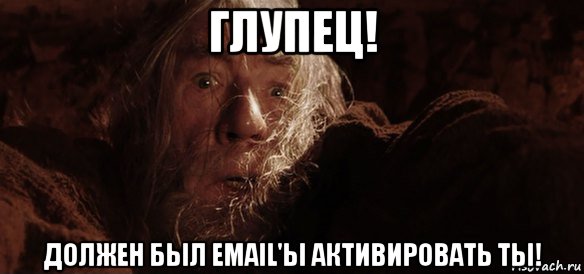 глупец! должен был email'ы активировать ты!, Мем Гендальф (Бегите глупцы)