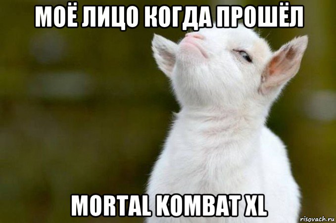 моё лицо когда прошёл mortal kombat xl, Мем  Гордый козленок