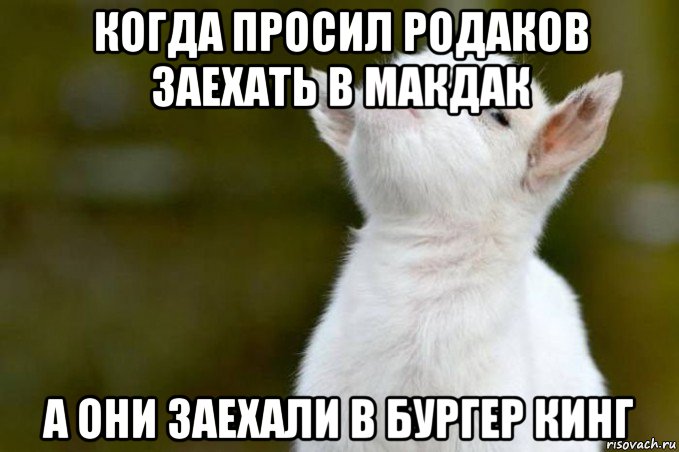 когда просил родаков заехать в макдак а они заехали в бургер кинг, Мем  Гордый козленок