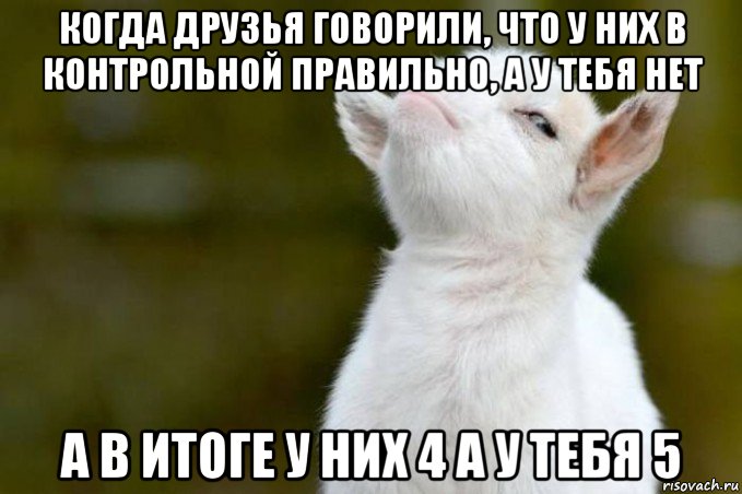 когда друзья говорили, что у них в контрольной правильно, а у тебя нет а в итоге у них 4 а у тебя 5, Мем  Гордый козленок