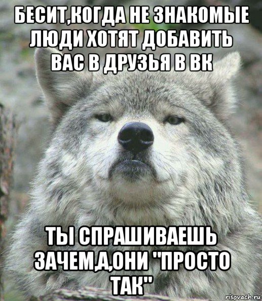 бесит,когда не знакомые люди хотят добавить вас в друзья в вк ты спрашиваешь зачем,а,они "просто так", Мем    Гордый волк