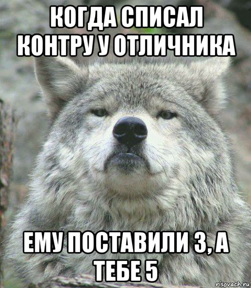 когда списал контру у отличника ему поставили 3, а тебе 5, Мем    Гордый волк