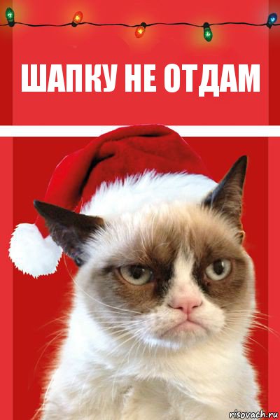 шапку не отдам, Комикс  Grumpy cat new year