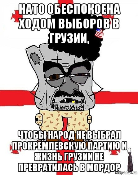 нато обеспокоена ходом выборов в грузии, чтобы народ не выбрал прокремлевскую партию и жизнь грузии не превратилась в мордор