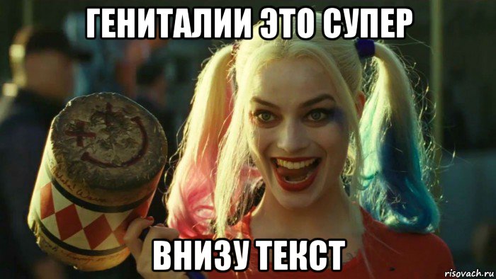 гениталии это супер внизу текст, Мем    Harley quinn