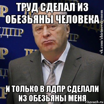 труд сделал из обезьяны человека и только в лдпр сделали из обезьяны меня, Мем Хватит это терпеть (Жириновский)