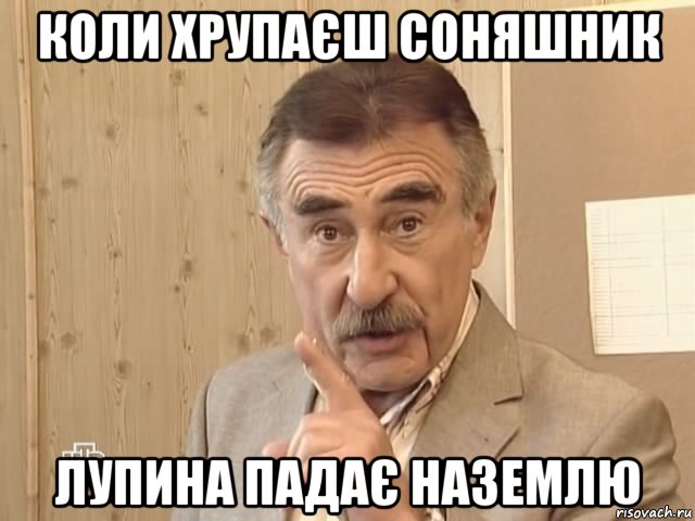 коли хрупаєш соняшник лупина падає наземлю, Мем Каневский (Но это уже совсем другая история)