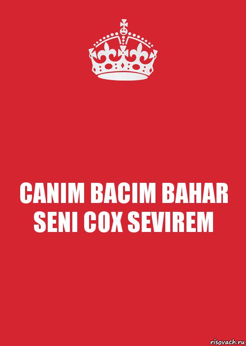 CANIM BACIM BAHAR SENI COX SEVIREM, Комикс Keep Calm 3