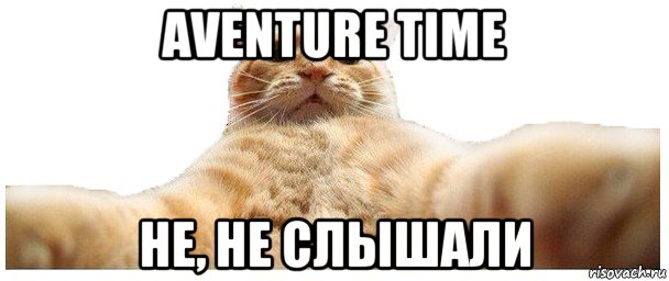 aventure time не, не слышали, Мем   Кэтсвилл