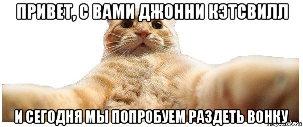 привет, с вами джонни кэтсвилл и сегодня мы попробуем раздеть вонку, Мем   Кэтсвилл