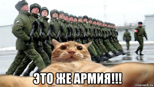  это же армия!!!, Мем  Кэтсвилл в армии