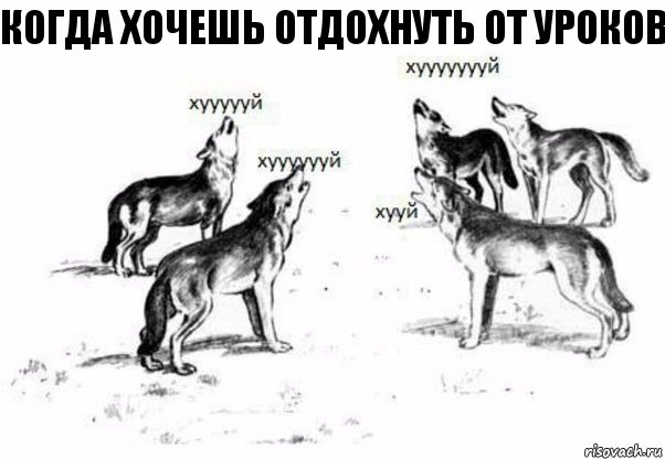 Когда хочешь отдохнуть от уроков