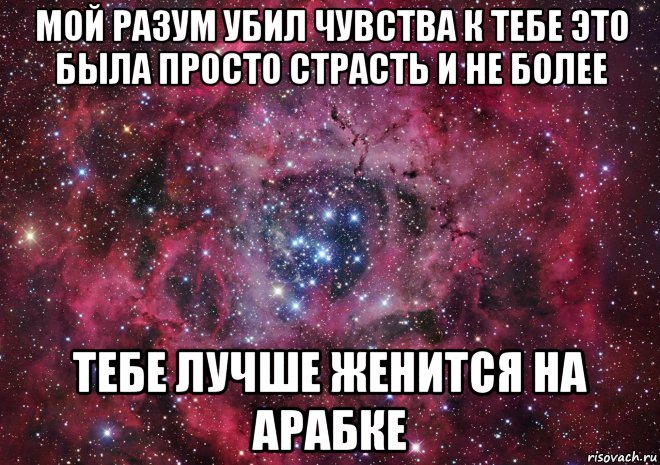 мой разум убил чувства к тебе это была просто страсть и не более тебе лучше женится на арабке, Мем Ты просто космос