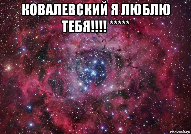 ковалевский я люблю тебя!!!! ***** , Мем Ты просто космос