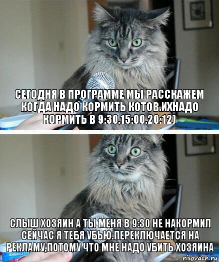 Сегодня в программе мы расскажем когда надо кормить котов.Ихнадо кормить в 9:30,15:00,20:12) Слыш хозяин а ты меня в 9:30 не накормил сейчас я тебя убью.Переключается на рекламу,потому что мне надо убить хозяина, Комикс  кот с микрофоном