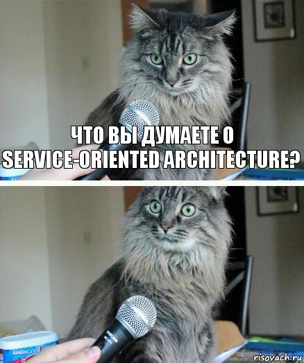 Что вы думаете о service-oriented architecture? , Комикс  кот с микрофоном