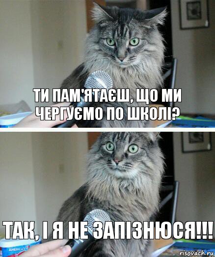 Ти пам'ятаєш, що ми чергуємо по школі? Так, і я не запізнюся!!!, Комикс  кот с микрофоном