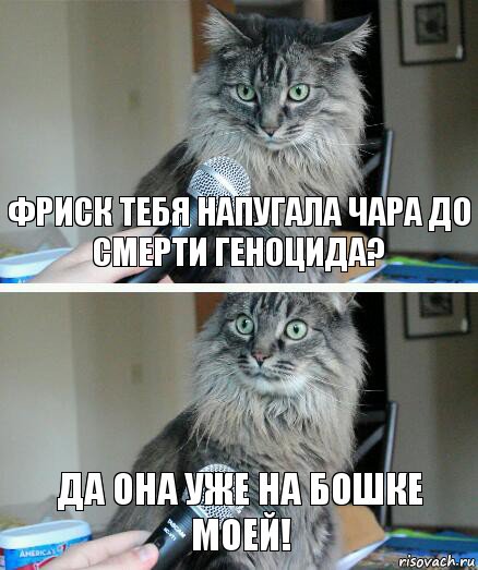 фриск тебя напугала чара до смерти геноцида? да она уже на бошке моей!, Комикс  кот с микрофоном