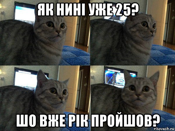 як нині уже 25? шо вже рік пройшов?, Мем  Кот в шоке