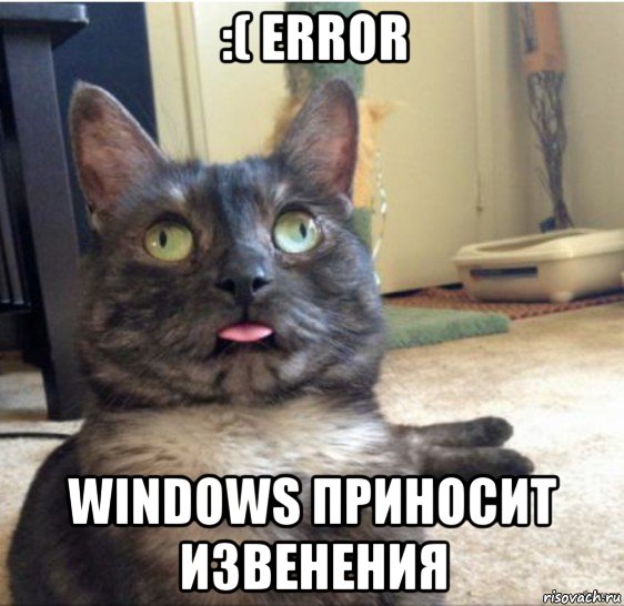 :( error windows приносит извенения, Мем   Кот завис