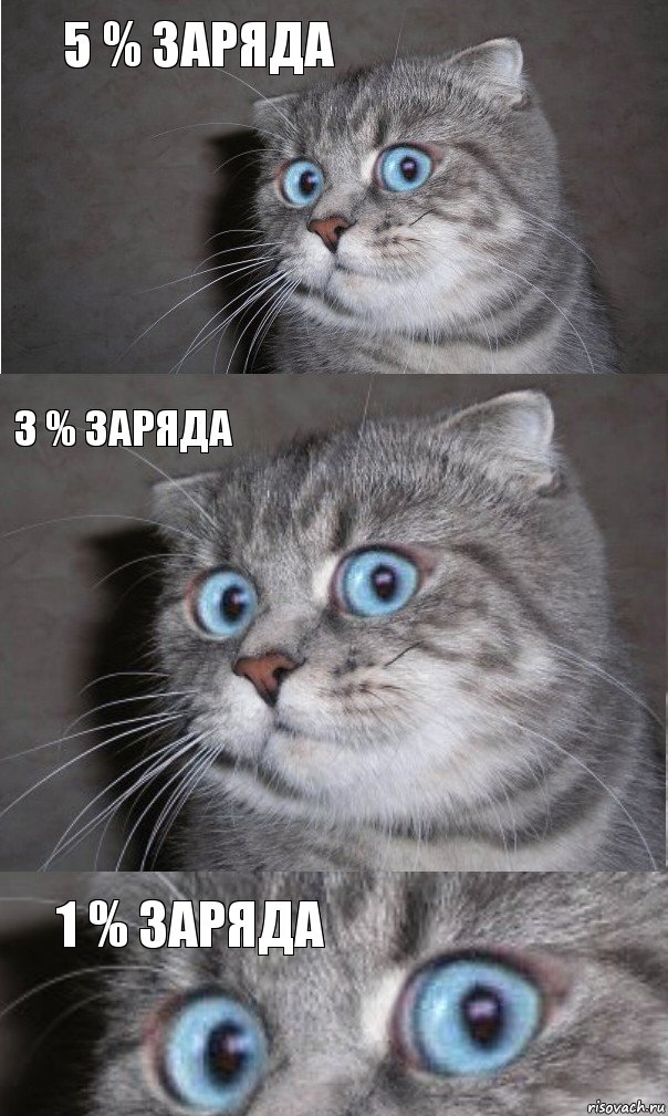 5 % заряда 3 % заряда 1 % заряда, Комикс  котейка