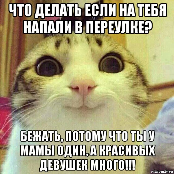 что делать если на тебя напали в переулке? бежать, потому что ты у мамы один, а красивых девушек много!!!, Мем       Котяка-улыбака