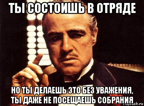 ты состоишь в отряде но ты делаешь это без уважения, ты даже не посещаешь собрания, Мем крестный отец