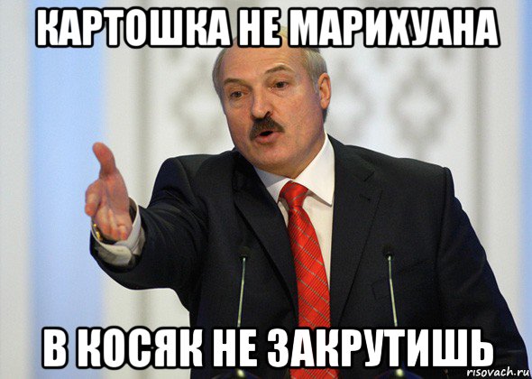 картошка не марихуана в косяк не закрутишь, Мем лукашенко