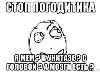 стоп погодитика я мем ? в унитазе ? с головой ? а мозги есть ?, Мем Мне кажется или