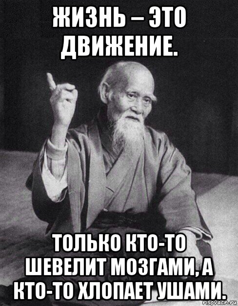 жизнь – это движение. только кто-то шевелит мозгами, а кто-то хлопает ушами., Мем Монах-мудрец (сэнсей)