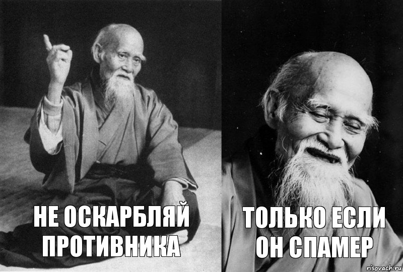 Не оскарбляй противника только если он спамер, Комикс Мудрец-монах (2 зоны)