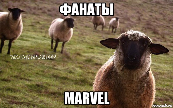 фанаты marvel, Мем  Наивная Овца