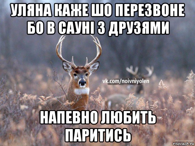 уляна каже шо перезвоне бо в сауні з друзями напевно любить паритись, Мем Наивный Олень vk