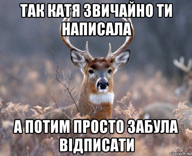 так катя звичайно ти написала а потим просто забула відписати, Мем   Наивный олень