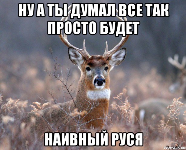 ну а ты думал все так просто будет наивный руся, Мем   Наивный олень