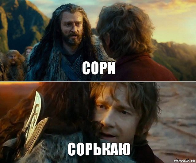 сори сорькаю