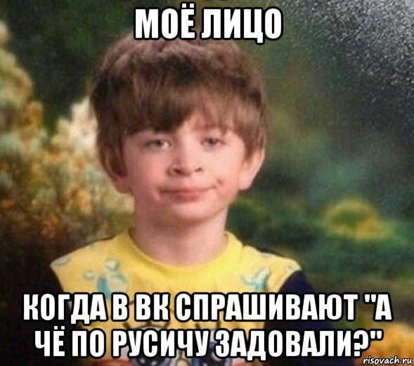 моё лицо когда в вк спрашивают "а чё по русичу задовали?"