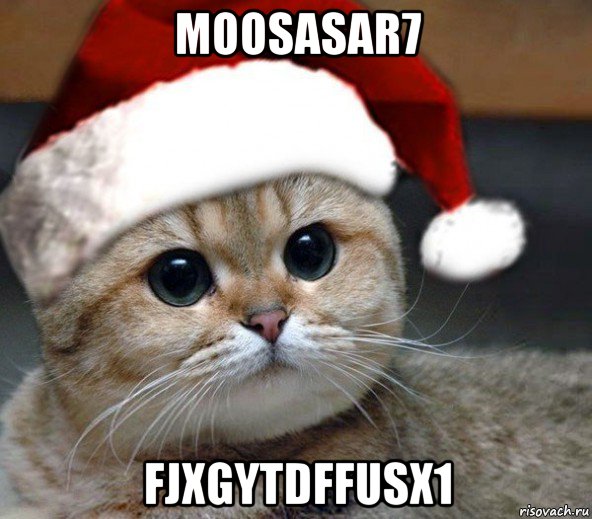 moosasar7 fjxgytdffusx1, Мем Новогодний искатель