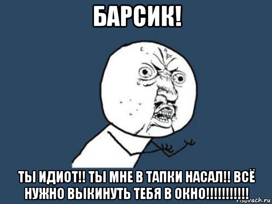 барсик! ты идиот!! ты мне в тапки насал!! всё нужно выкинуть тебя в окно!!!!!!!!!!!, Мем Ну почему