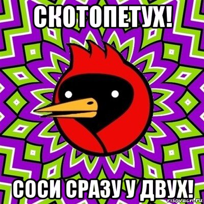 скотопетух! соси сразу у двух!, Мем Омская птица