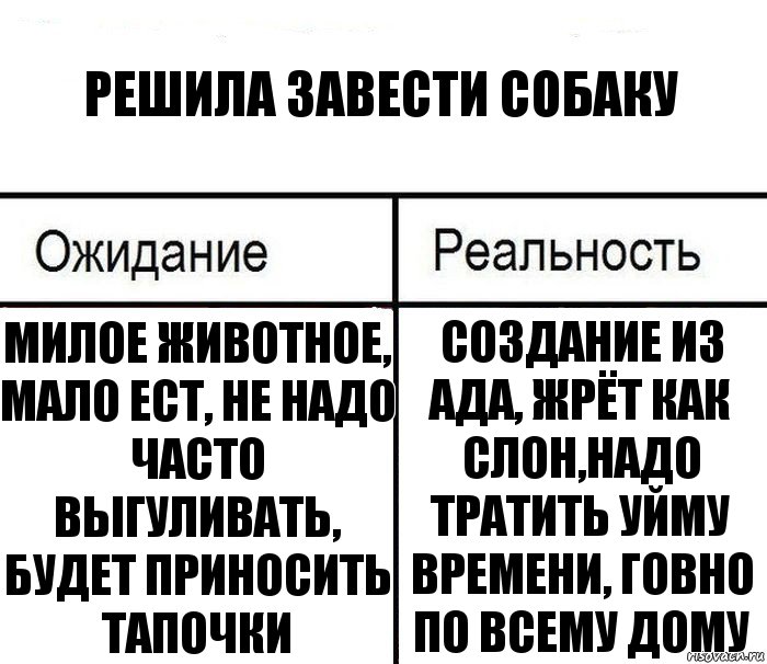 Решила завести собаку Милое животное, мало ест, не надо часто выгуливать, будет приносить тапочки Создание из ада, жрёт как слон,надо тратить уйму времени, говно по всему дому