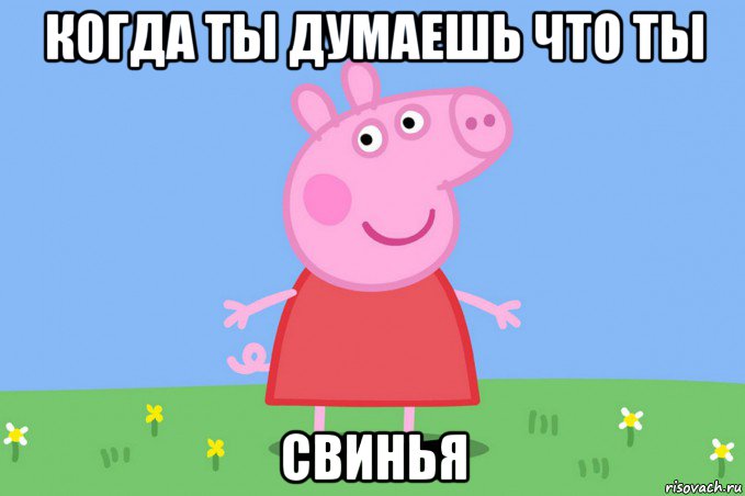 когда ты думаешь что ты свинья, Мем Пеппа