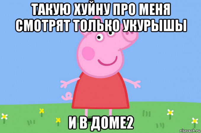 такую хуйну про меня смотрят только укурышы и в доме2, Мем Пеппа