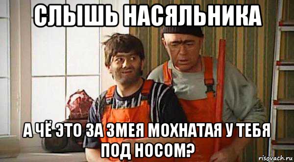 слышь насяльника а чё это за змея мохнатая у тебя под носом?, Мем Равшан джамшут